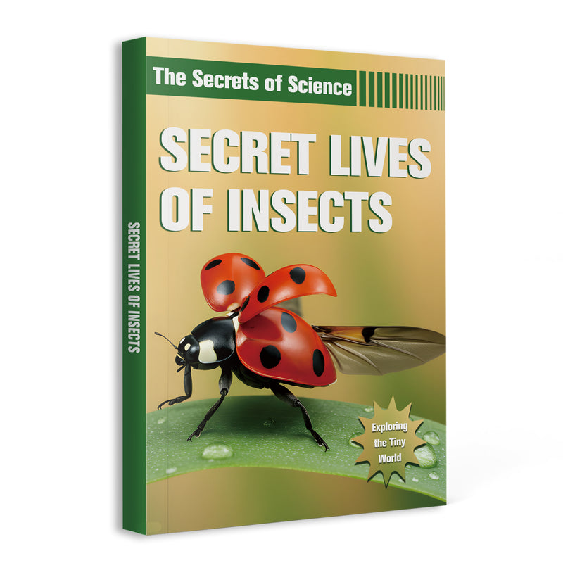 Secret Lives of Insects Science Book for Kids cover