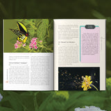 Printed STEM book for botany growth life cycles and observation