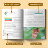 Ages 7-12 insect facts book for screen-free science reading