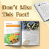 Kids nature science book about secret insect lives and early STEM