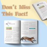 Kids nature science book about secret animal lives and wildlife learning