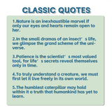 Insect Chronicles Trilogy: A Fascinating Journey into the World of Insects