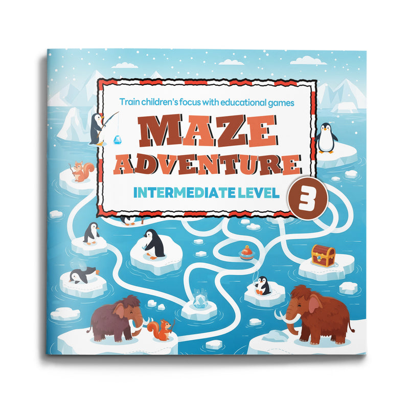 Arctic Maze Adventure Intermediate Polar Paths cover
