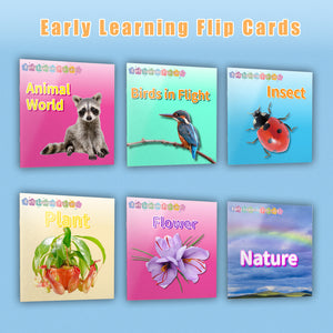 Learning to Read Made Fun with Sight Word Flashcards – Perfect for Early Readers