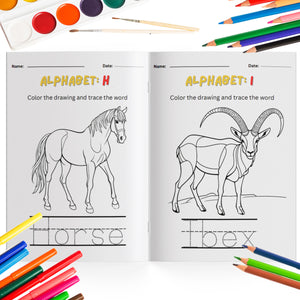A Fun and Easy Alphabet Learning Workbook for Kids: Step-by-Step Exercises and Activities to Learn ABCs Gradually style38
