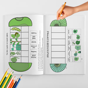 Color and Cut Craft Book: Fun, Interactive Art for Kids
