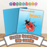 Learning to Read Made Fun with Sight Word Flashcards – Perfect for Early Readers