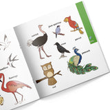Embark on a Journey of Discovery with Our Small Encyclopedia Series