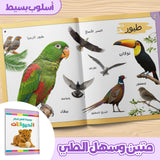 Preschool picture book for animal names, observation, and vocabulary building