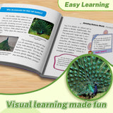 Kids nature science book about fascinating birds and early STEM