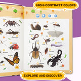 Toddler First Words Sound Book product image 5 showing printed book details for screen-free reading and learning