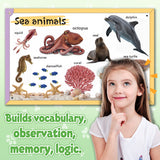 Animals Early Learning Book for Kids, Animal Recognition, First Vocabulary and Preschool Learning Skills