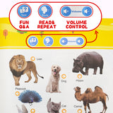 Toddler First Words Sound Book product image 6 showing printed book details for screen-free reading and learning