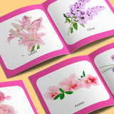 Printed Book Collection: 24-Book Set bundle detail image, image 6, bundle ISBN 9798900663593
