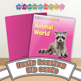 Learning to Read Made Fun with Sight Word Flashcards – Perfect for Early Readers