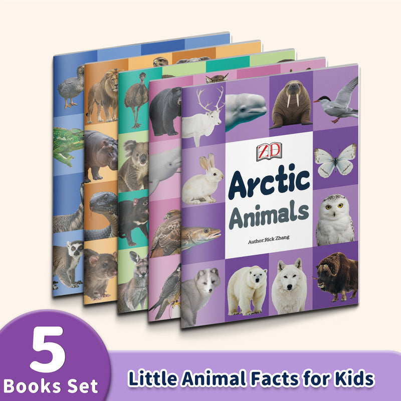 Printed Book Collection: 5-Book Set main cover and printed book set view, image 1, bundle ISBN 9798900669106