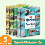 Printed Book Collection: 5-Book Set main cover and printed book set view, image 1, bundle ISBN 9798900669137