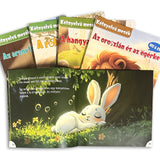 Printed Book Collection: 5-Book Set bundle detail image, image 3, bundle ISBN 9798900663852