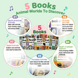 First Book of Animals: Americas, Europe and Islands 5-Book Set product image 3, bundle ISBN 9798904664770