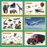 Printed Book Collection: 4-Book Set bundle detail image, image 4, bundle ISBN 9798900669090