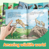 Printed Book Collection: 5-Book Set bundle detail image, image 4, bundle ISBN 9798900669137