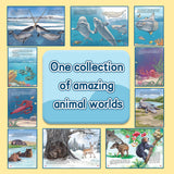 Printed Book Collection: 4-Book Set bundle detail image, image 3, bundle ISBN 9798904661373
