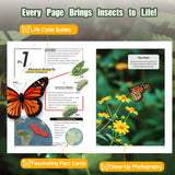First Insects Encyclopedia printed book product image 3, ISBN 9798897882281