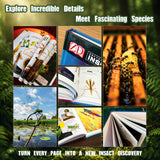 First Insects Encyclopedia printed book product image 5, ISBN 9798897882281