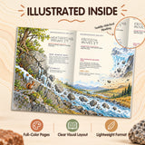 Rocks in the Making, Book 1 of 5 - product image 5