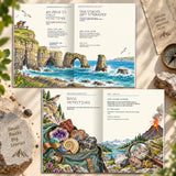 Rock Detectives, Book 5 of 5 - product image 4